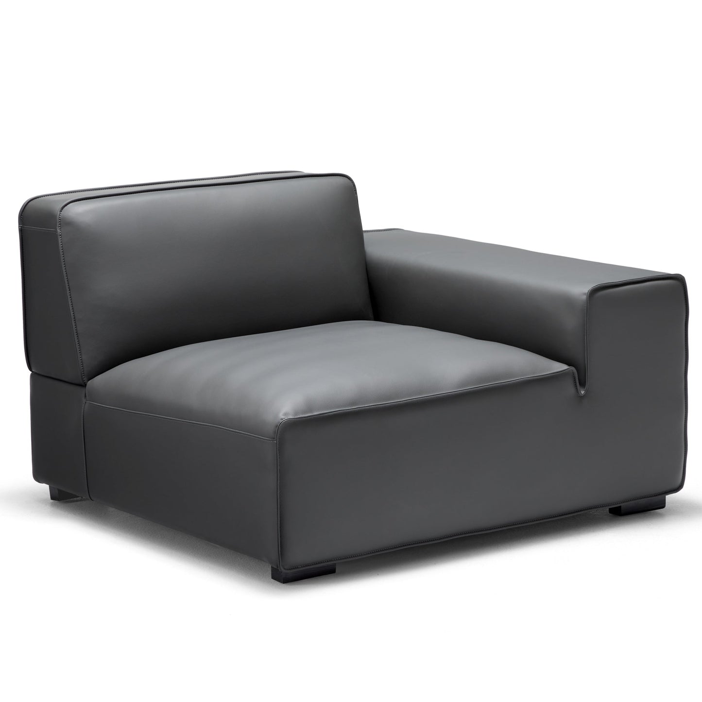 Domus Modular Dark Gray Leather Sofa and Ottoman-Dark Gray