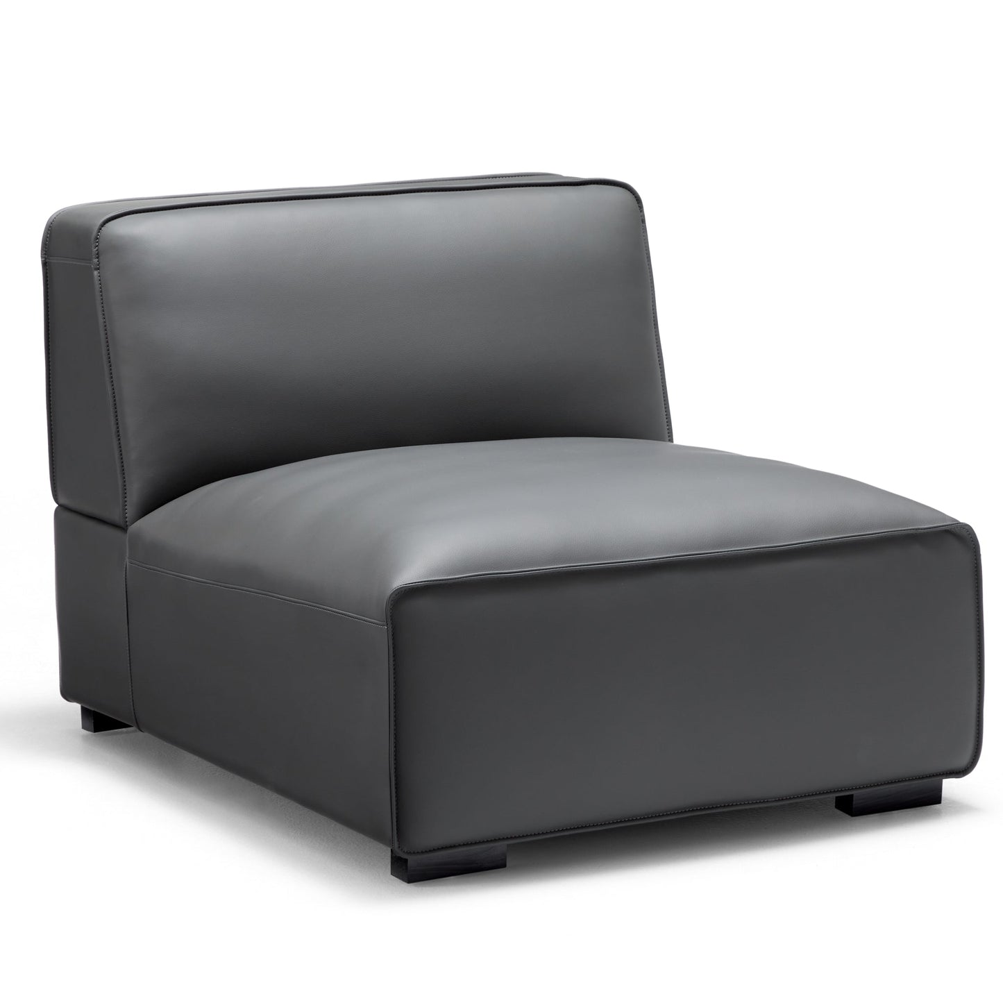 Domus Modular Dark Gray Leather Sofa and Ottoman-Dark Gray