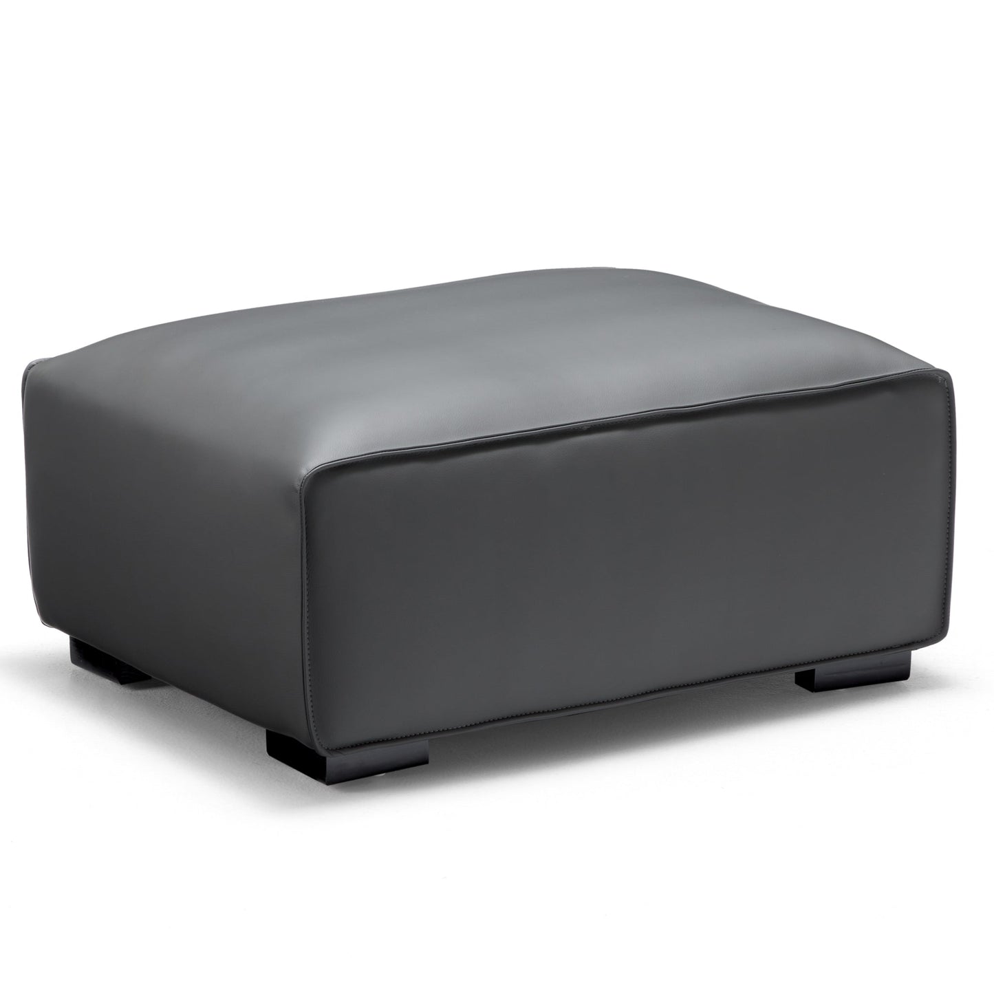Domus Modular Dark Gray Leather Sofa and Ottoman-Dark Gray