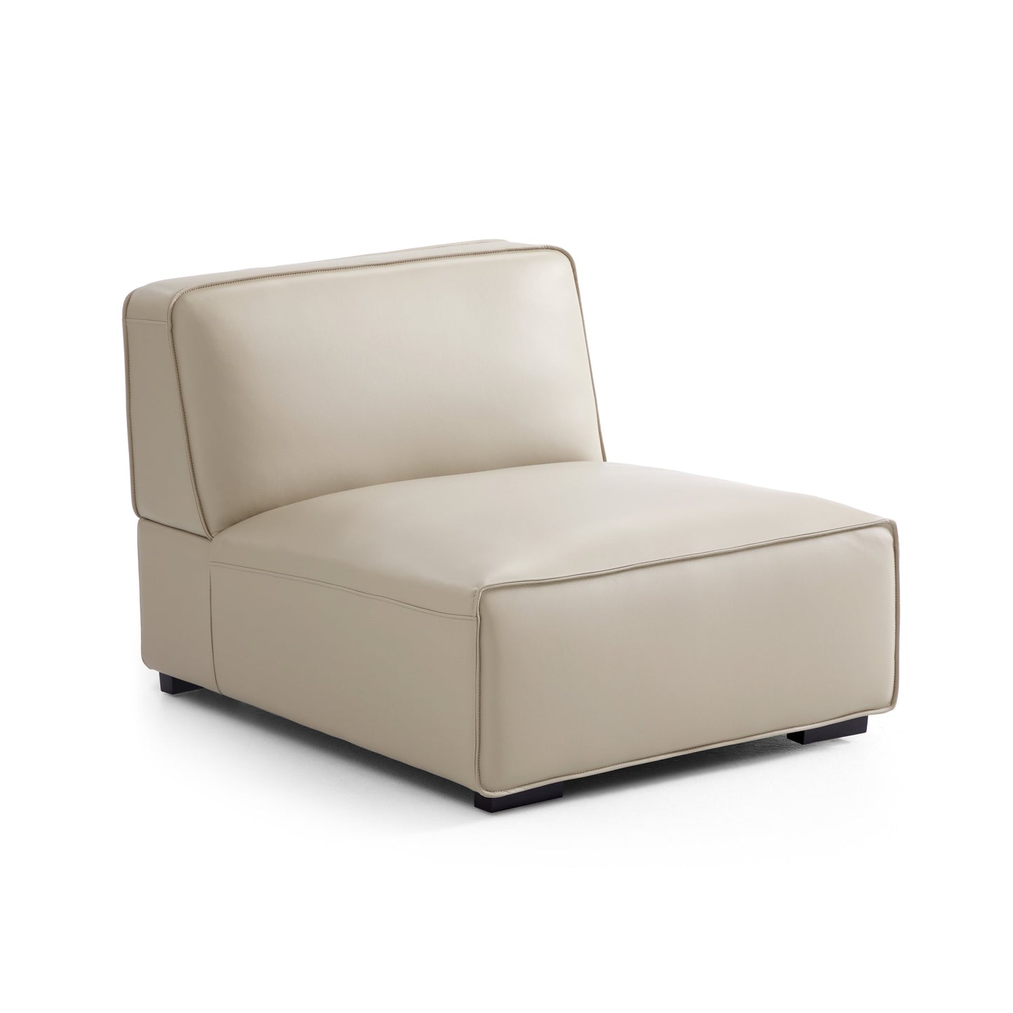 Domus Modular Dark Gray Leather Sofa and Ottoman-Beige