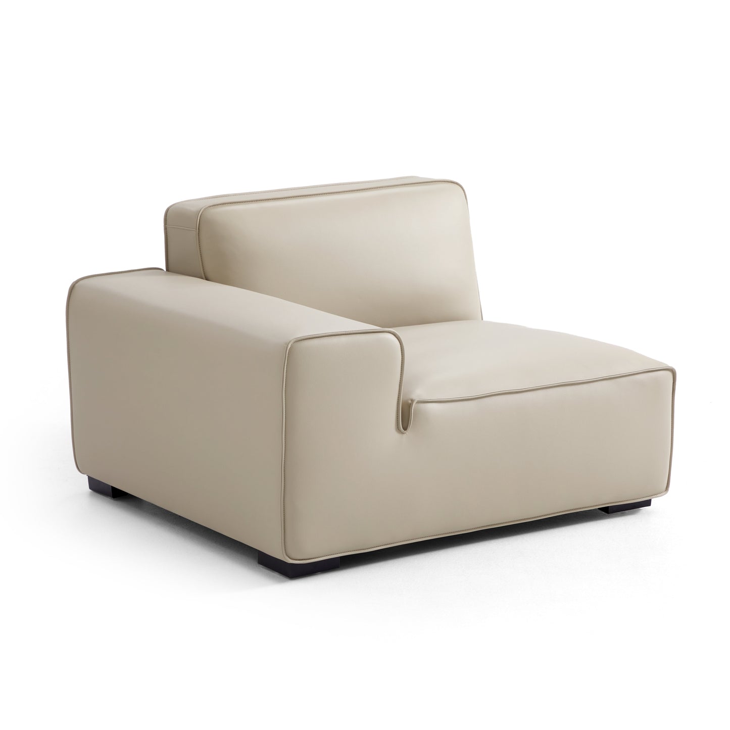 Domus Modular Dark Gray Leather Sofa and Ottoman-Beige