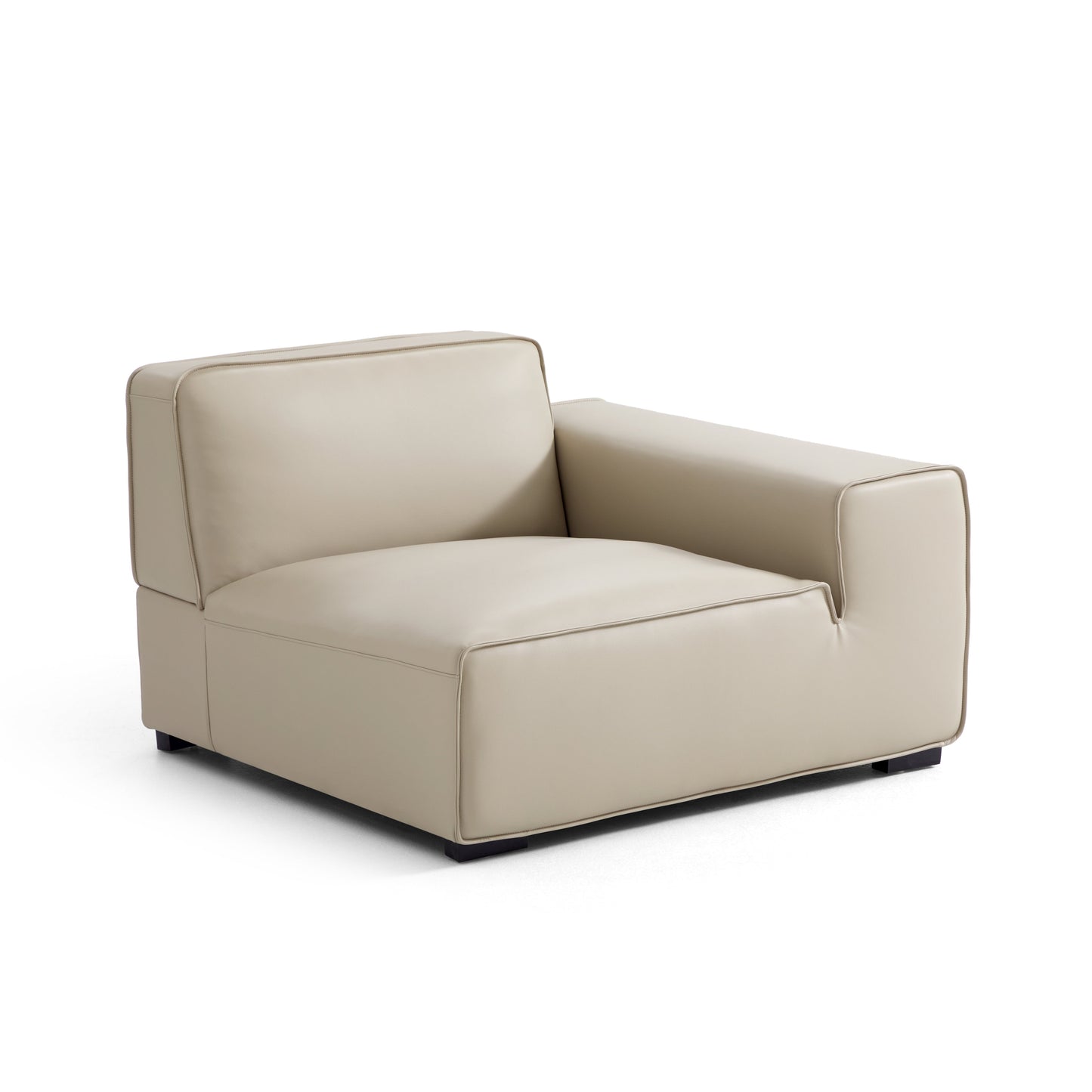 Domus Modular Dark Gray Leather Sofa and Ottoman-Beige