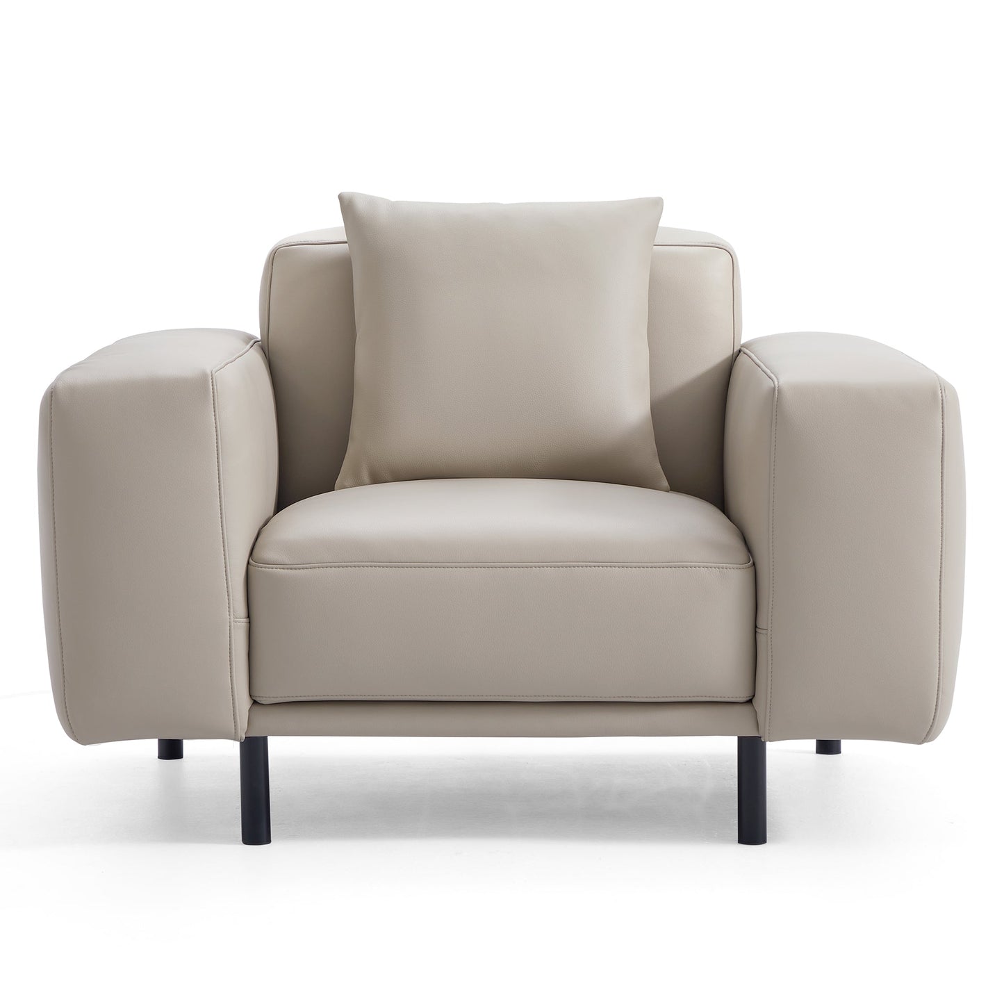 Noble Dark Gray Leather Sofa Set-Beige