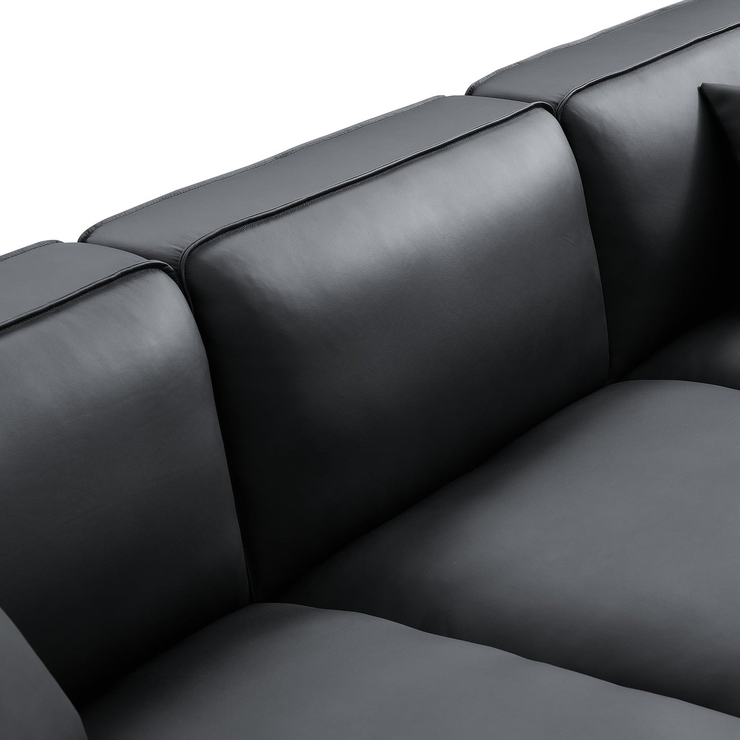 Domus Modular Beige Leather Sectional Sofa-Black