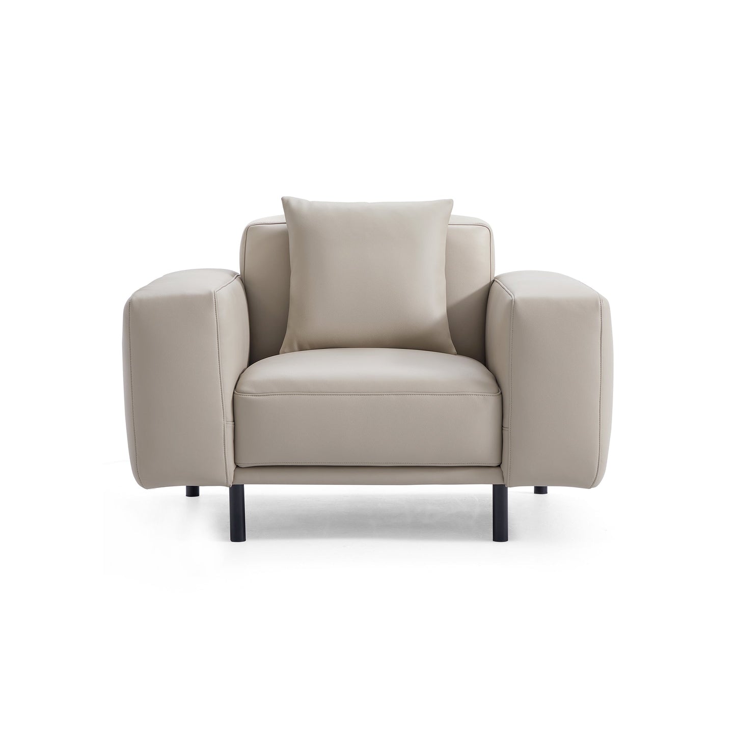 Noble Dark Gray Leather Armchair-Beige
