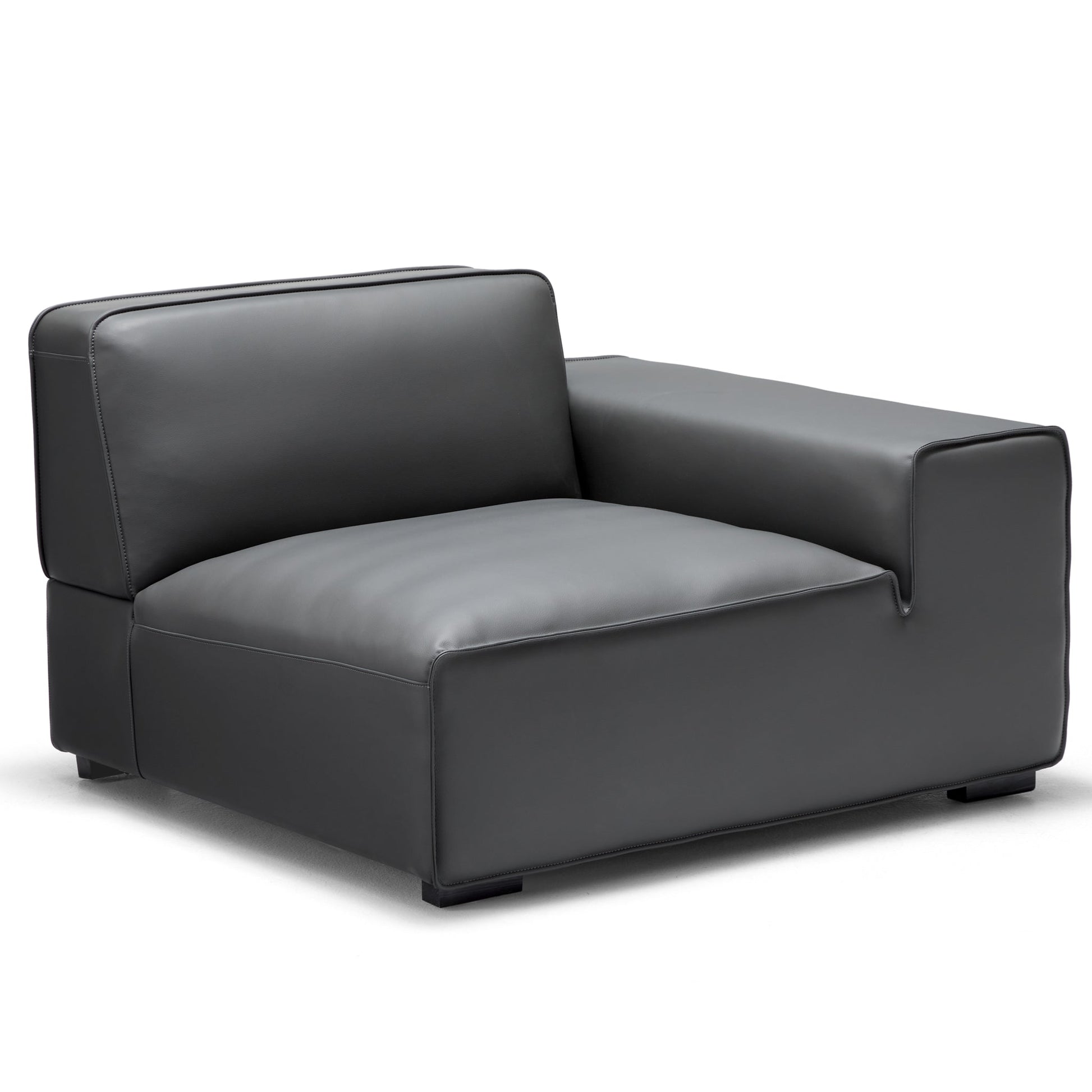 Domus Modular Dark Gray Leather Sofa and Ottoman-Dark Gray